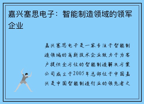 嘉兴塞思电子:智能制造领域的领军企业